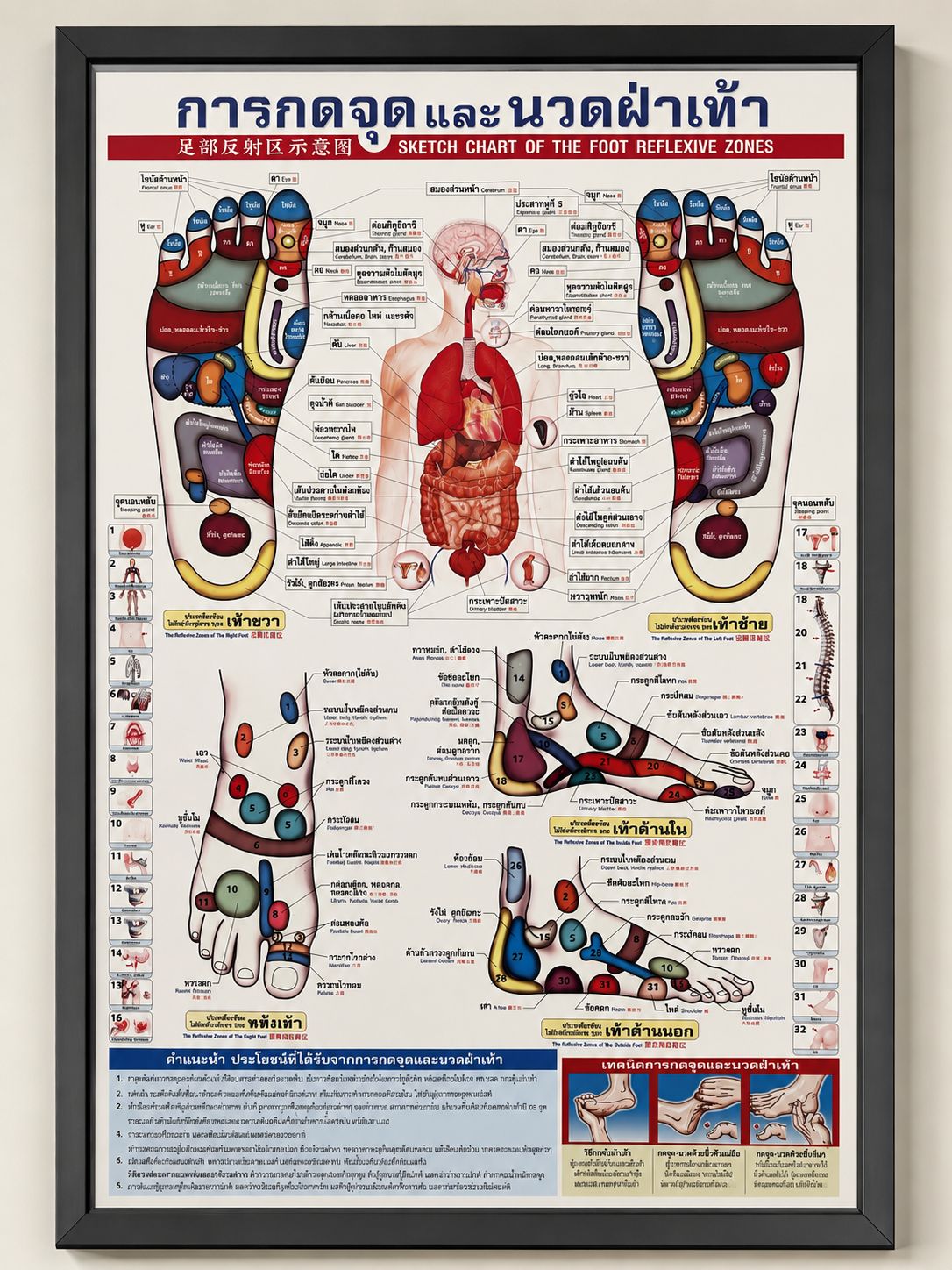 Framed Thai foot reflexology chart showing reflex zones of the feet
